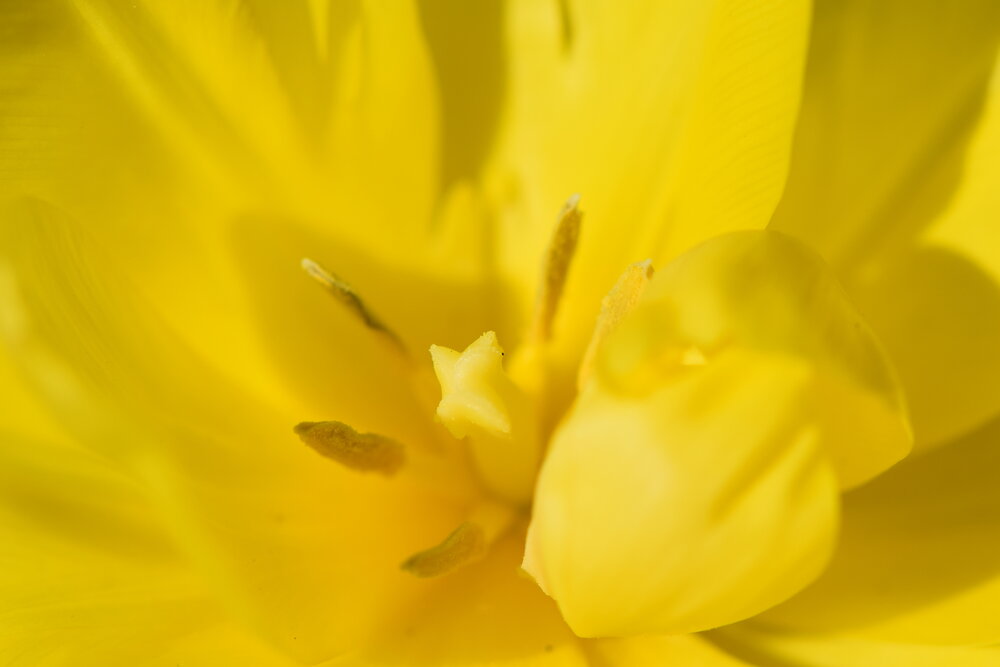 Photograph by Инна Голубева