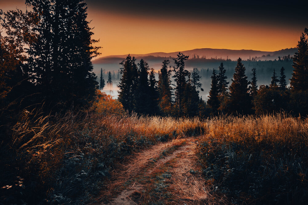 Photograph by Ивлев Артем