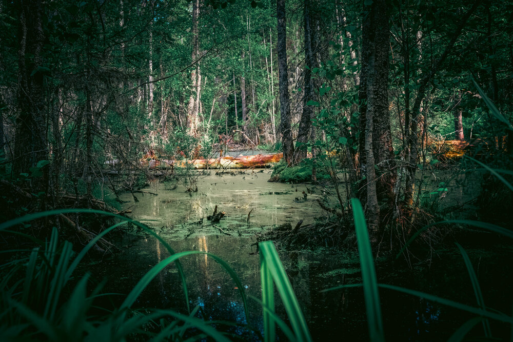 Photograph by Ивлев Артем