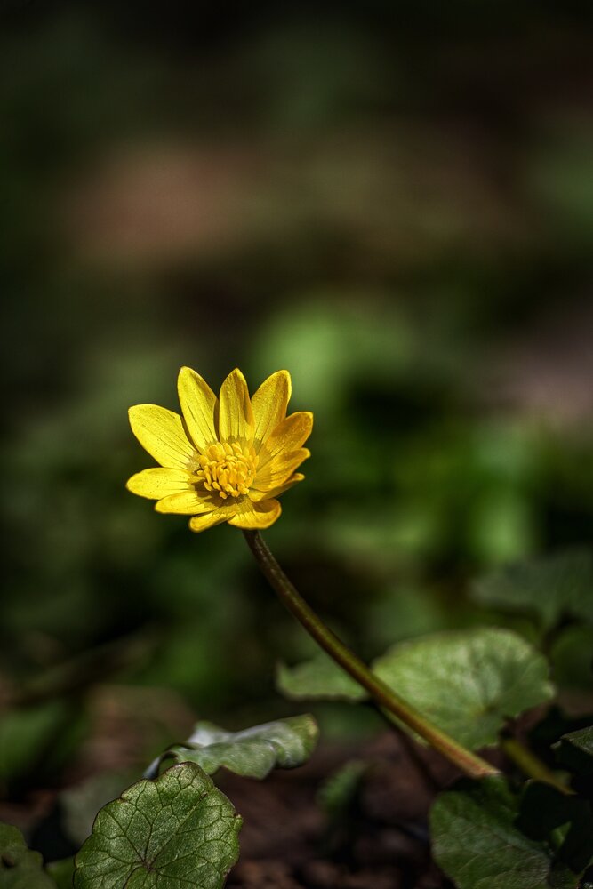 Photograph by Евгения Борзова