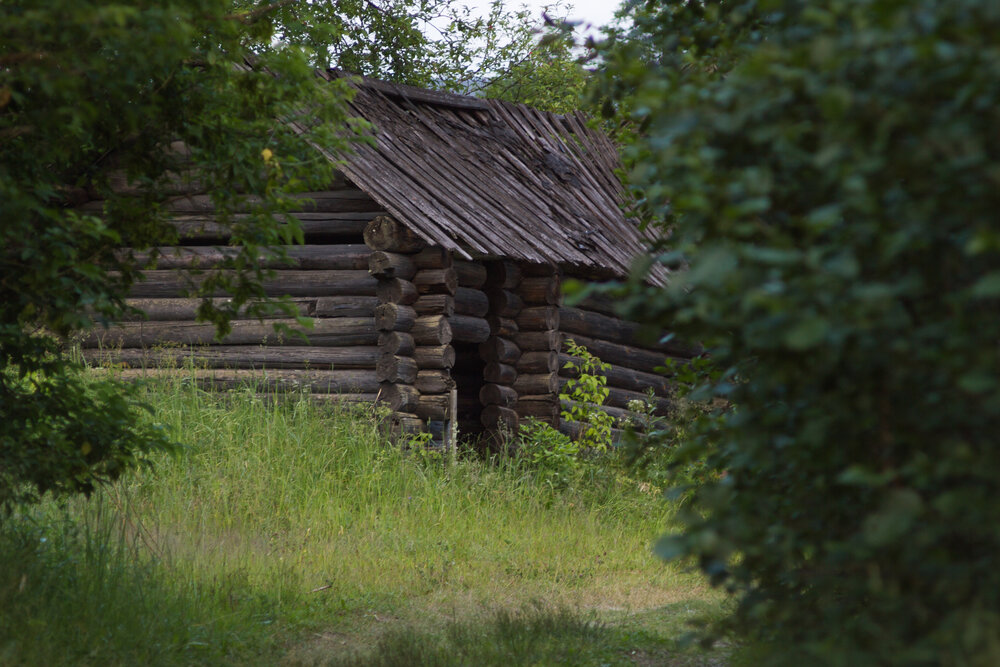 Photograph by Алексей Новоселов