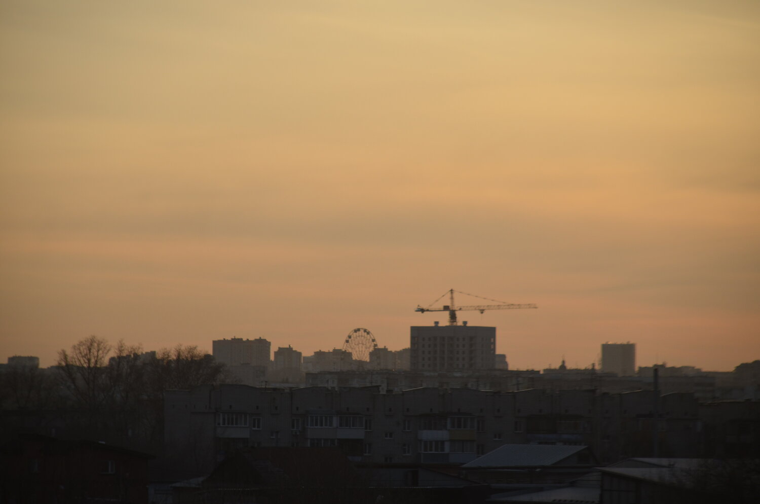 Photo #13801613