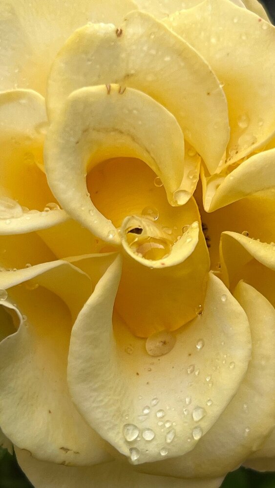 Photograph by Ирина