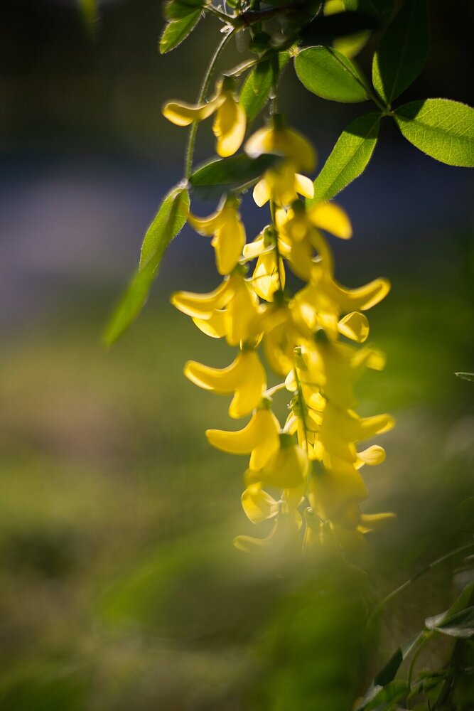Photograph by Ирина