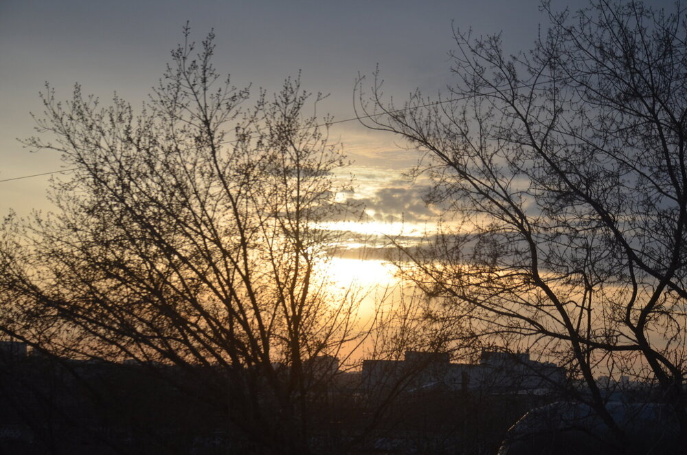 Photo #13801630