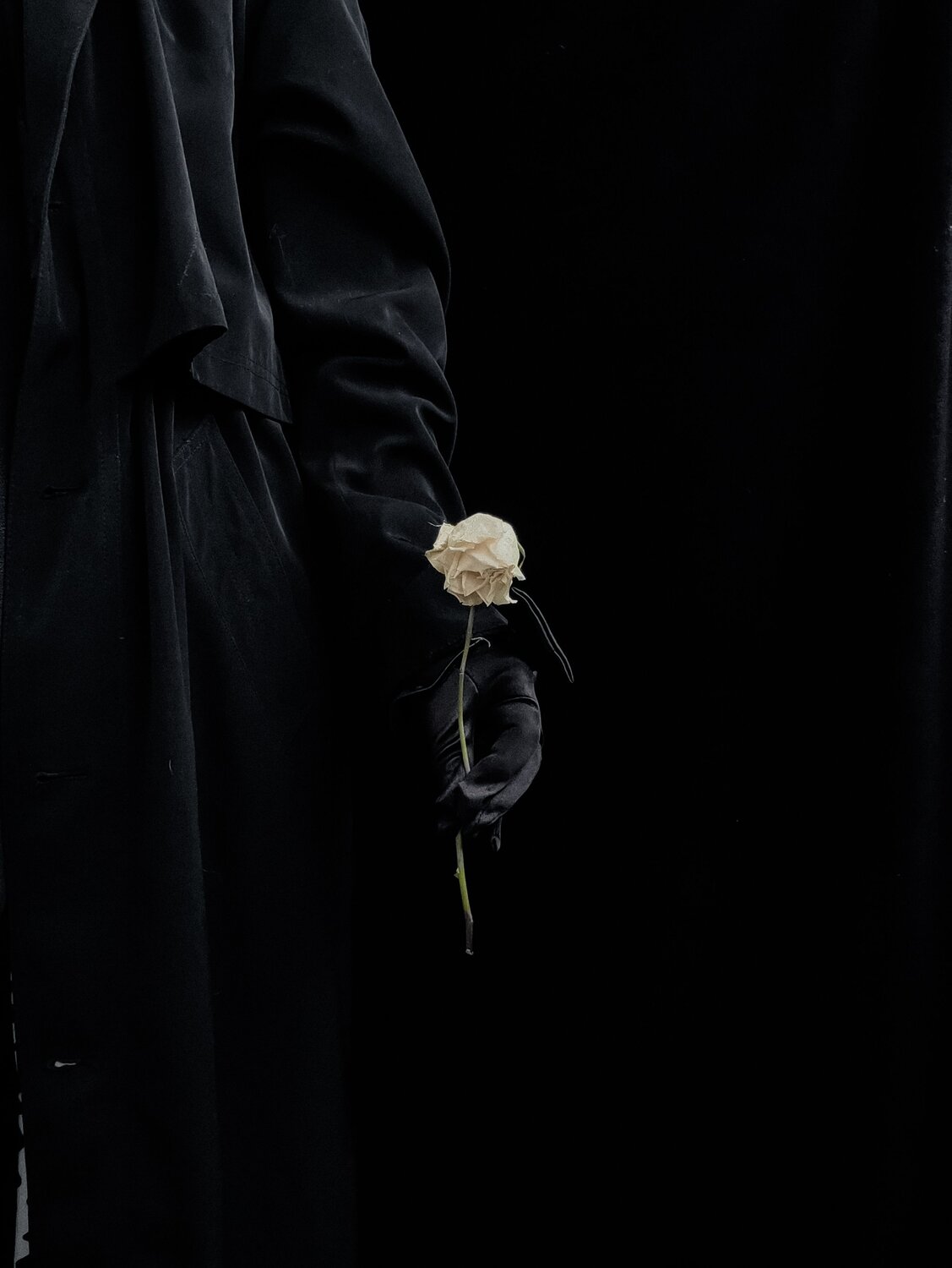 Photo #13801657