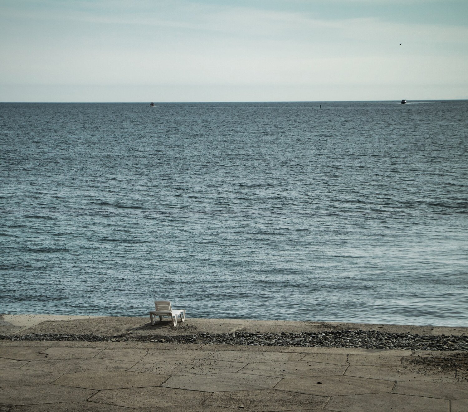 Photo #13801662