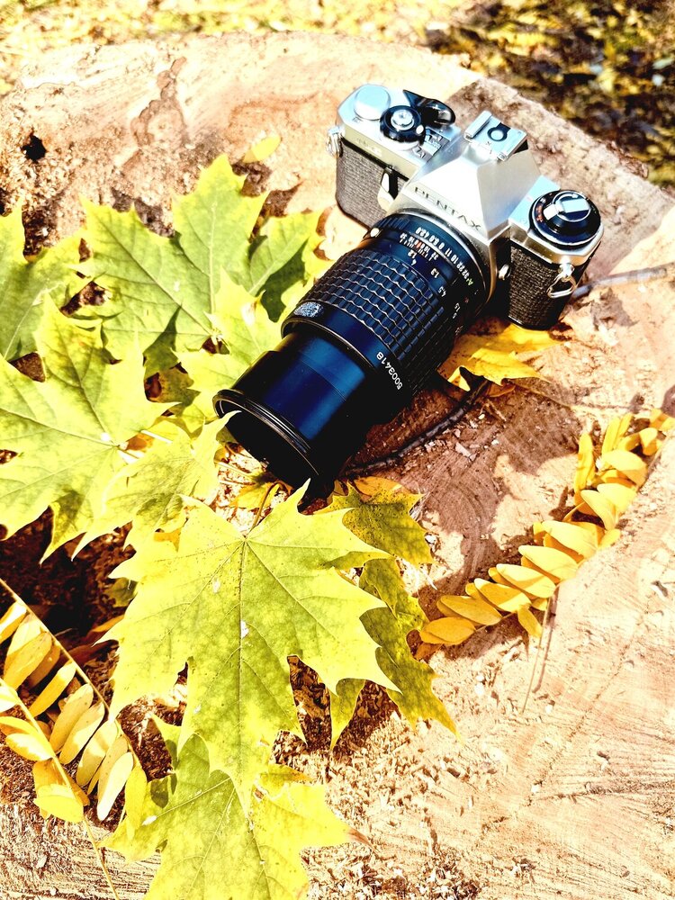Photograph by Vadym Melnyk