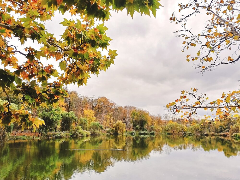 Photograph by Vadym Melnyk