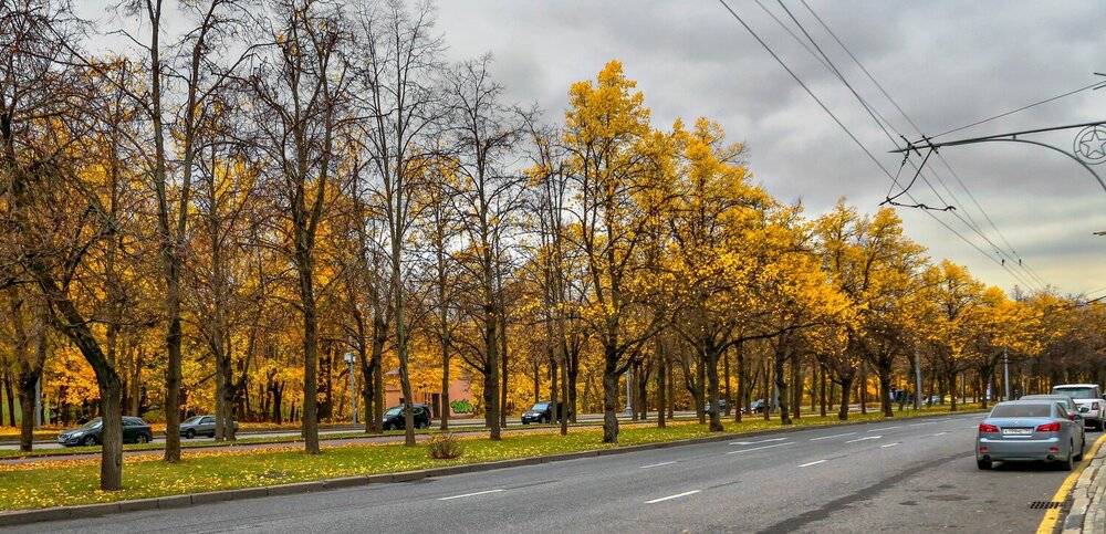 Фотография автора Климов Дмитрий