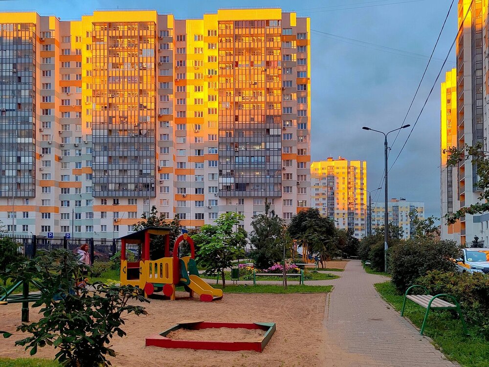 Photograph by Михаил Косолапов