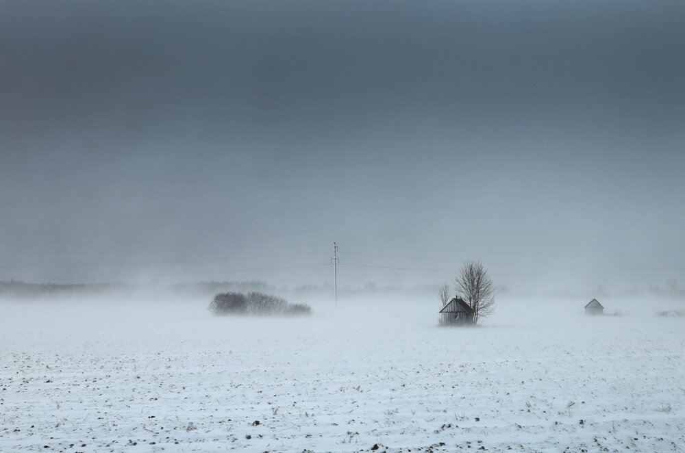 Photo #13801733