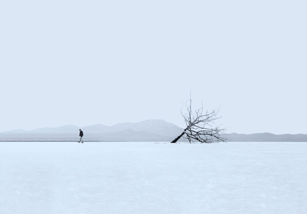 Photograph by محمودرضا نورایی