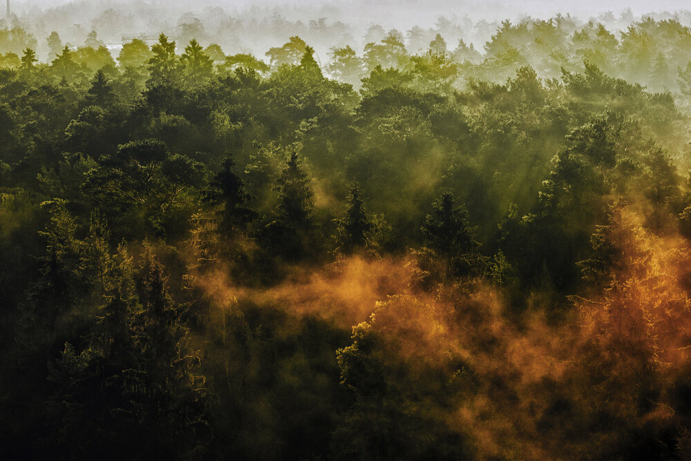 Photograph by Анна Акименко