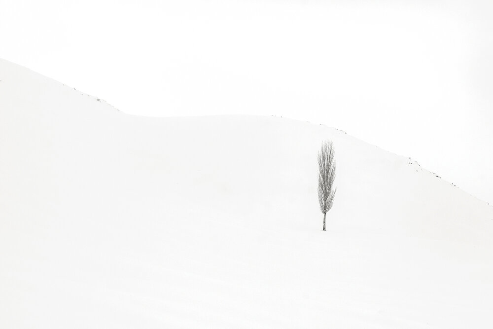 Stillness