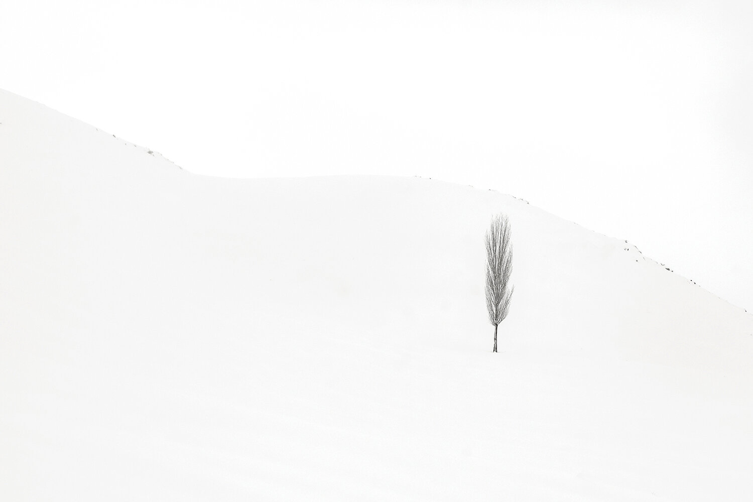 Stillness