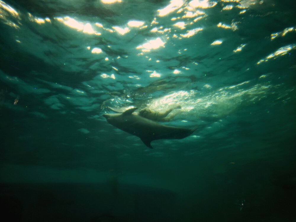 Photograph by Наталья Иванова