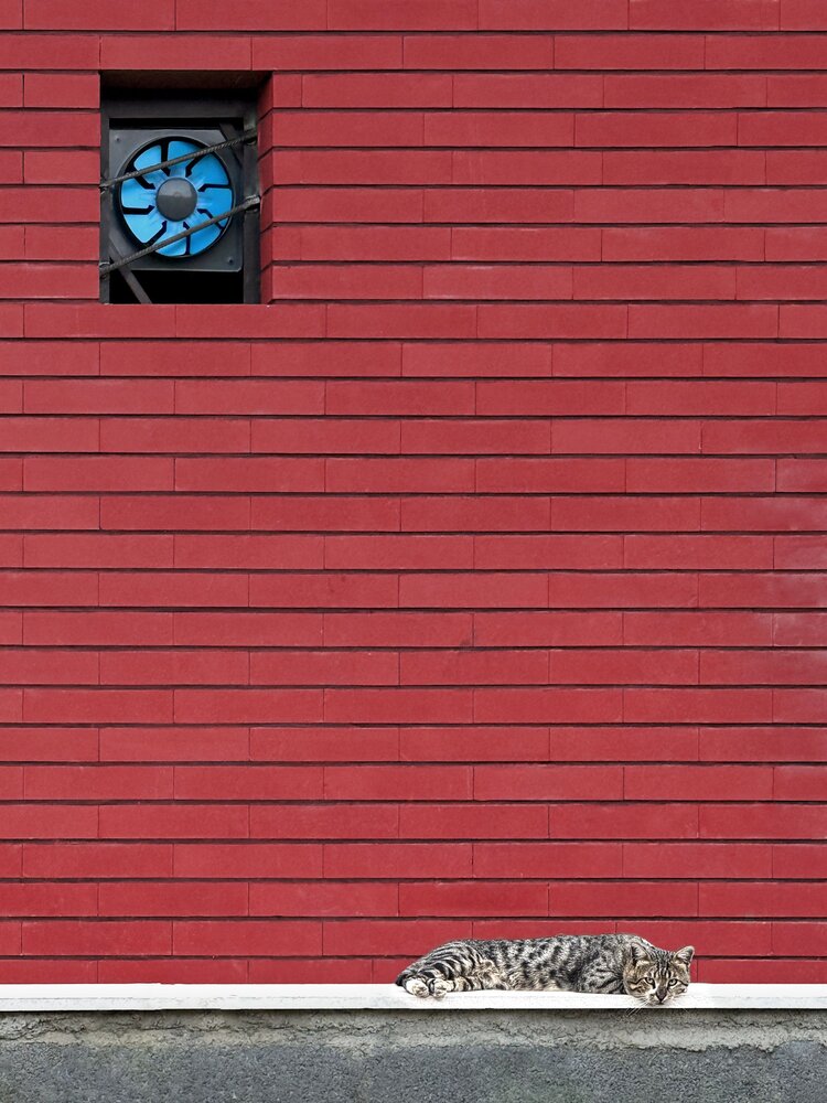 Photograph by Amin Sarlak