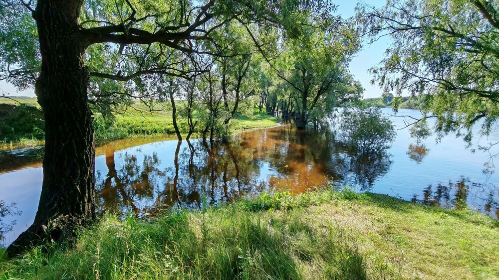 Река Омь