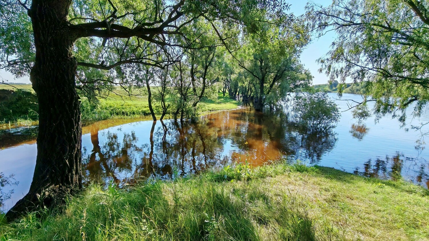 Река Омь