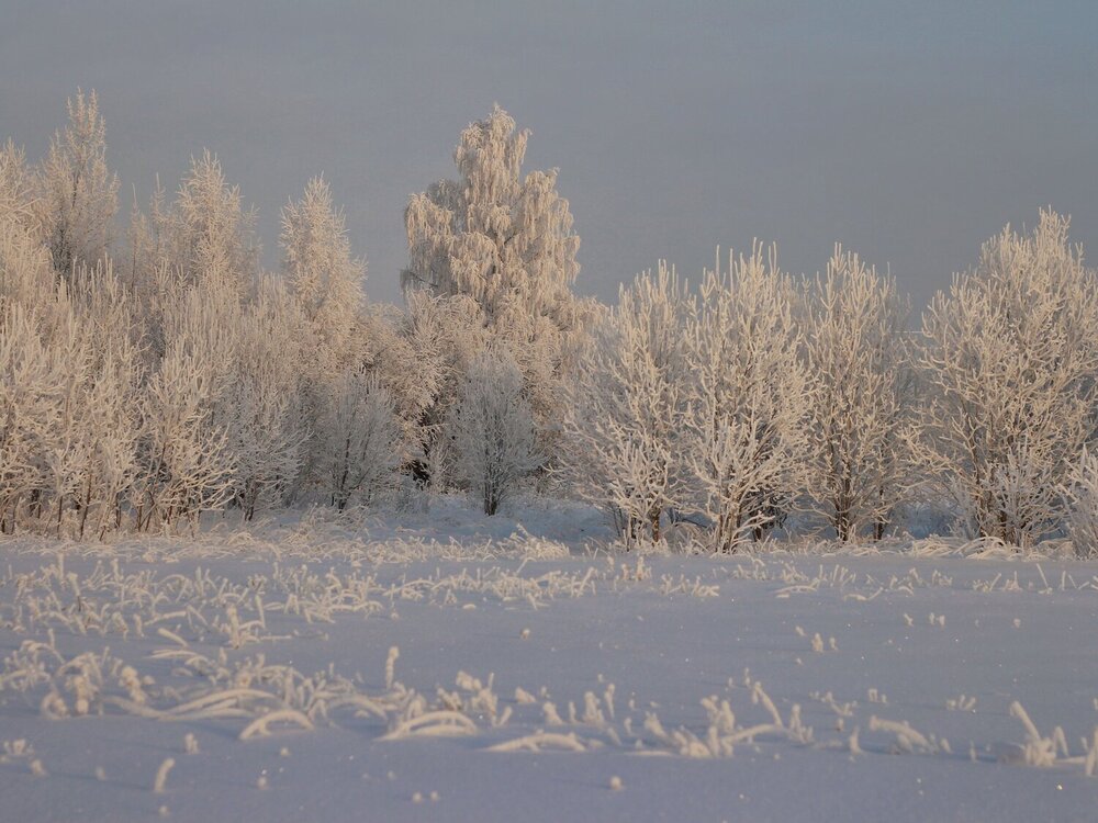 Photograph by Андрей Шестаков