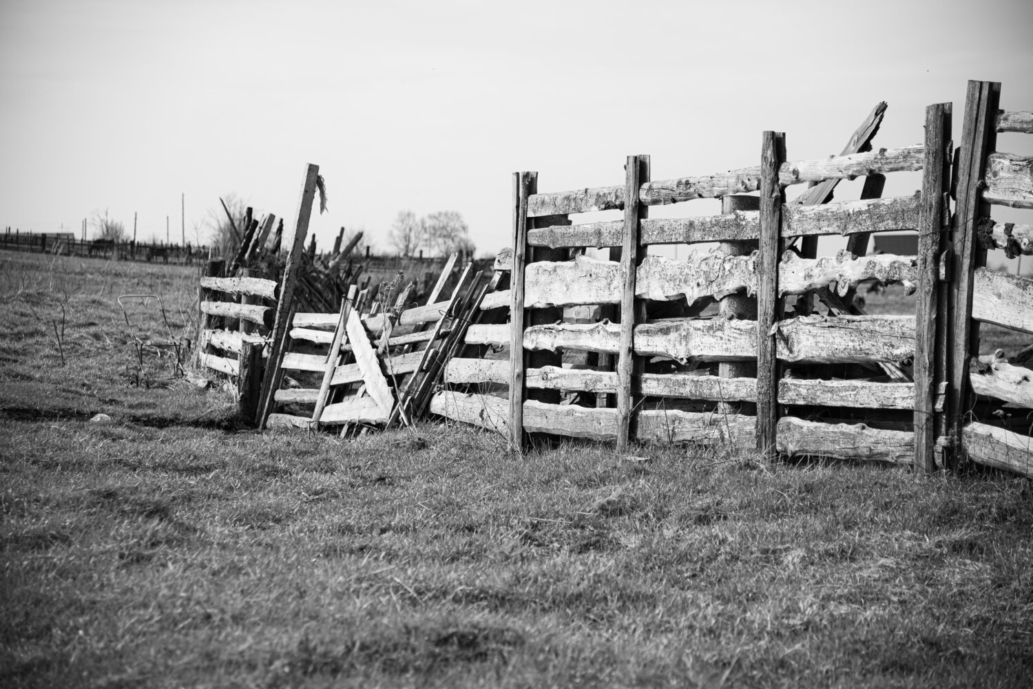Photo #13801959