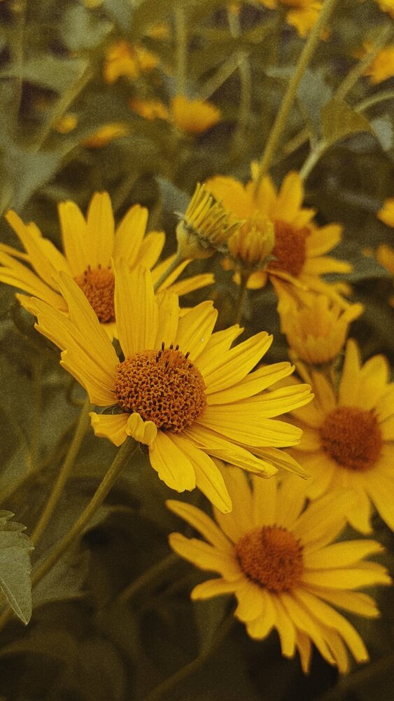 Photograph by Ирина Львова