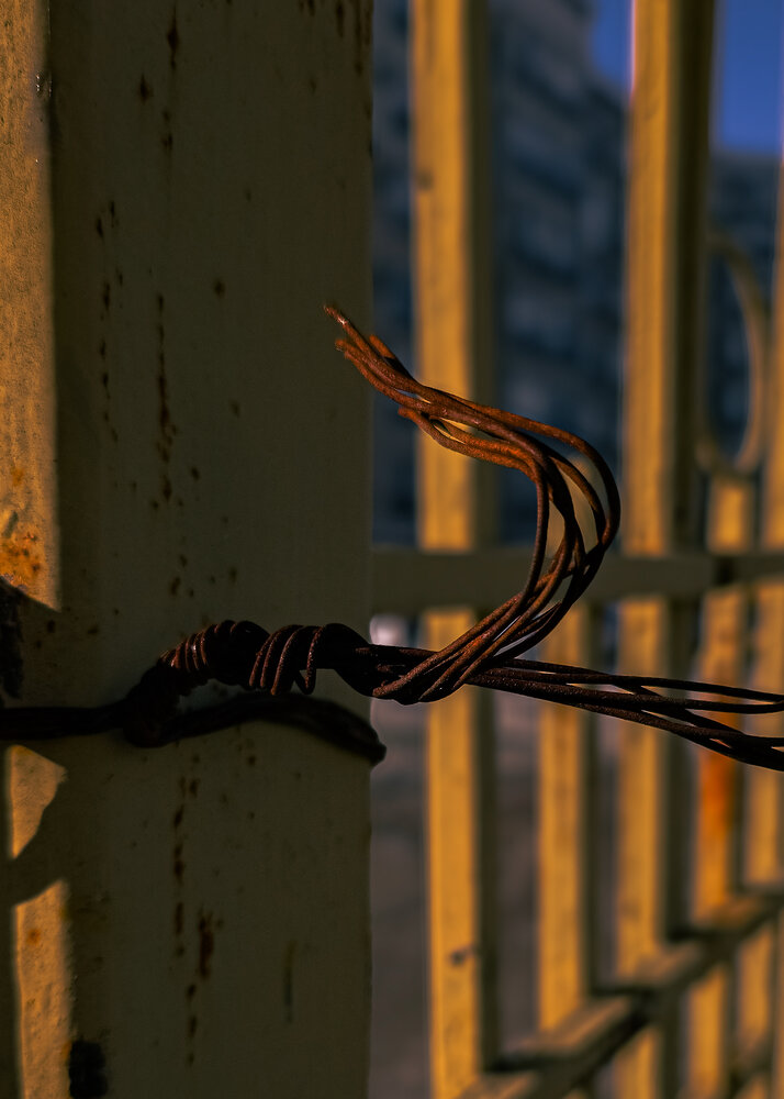 Photograph by Constantine Popov