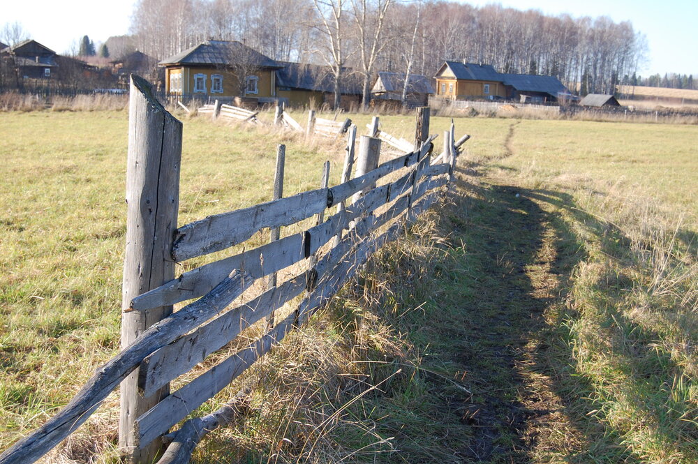 Photo #13802037