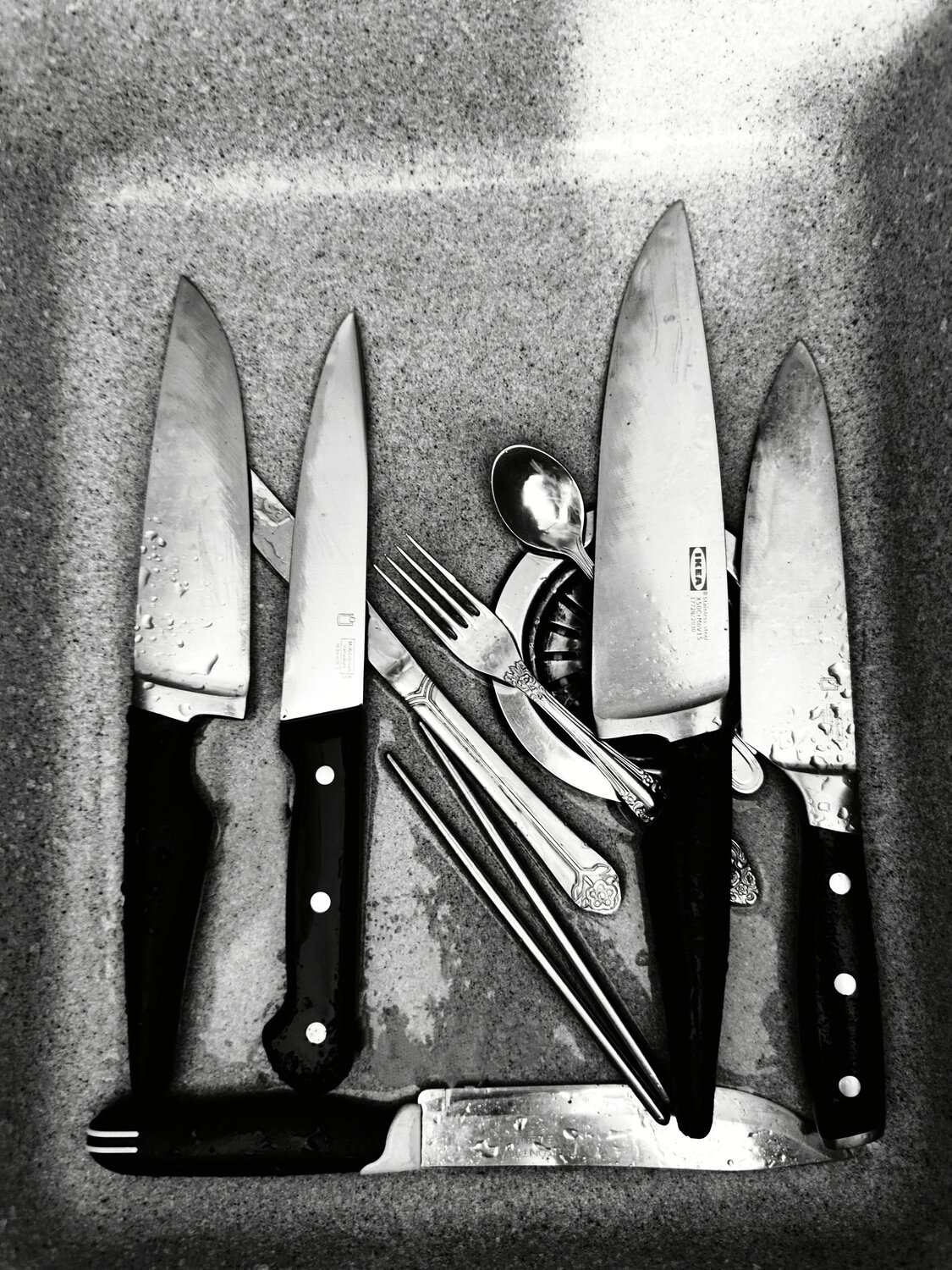 Photo #13802042