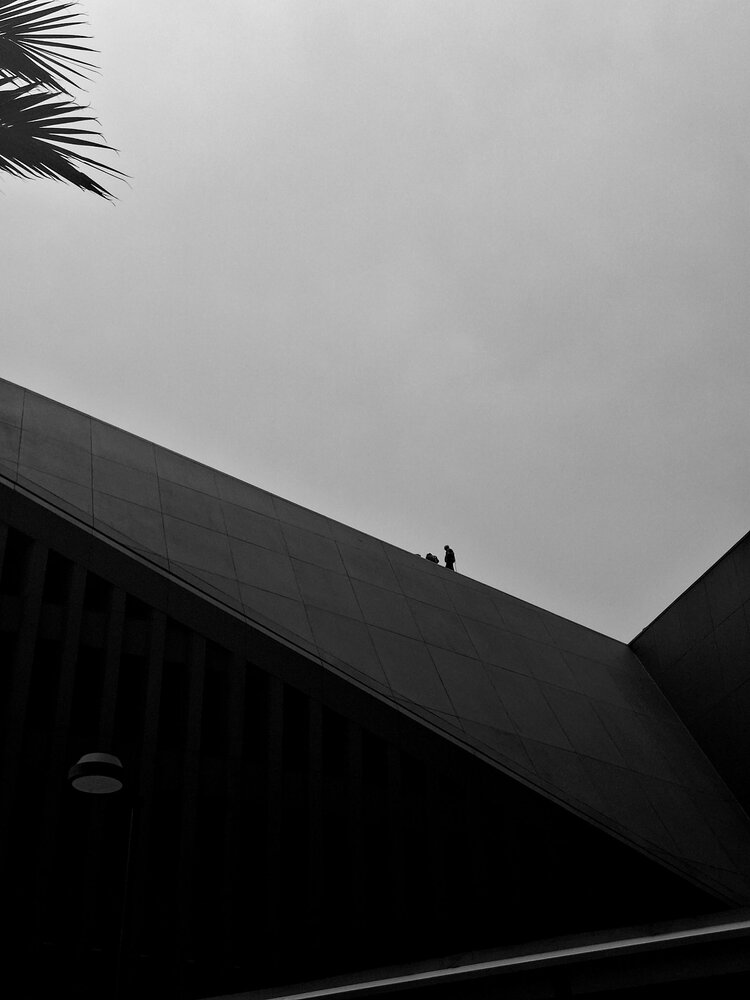 Photograph by Diego Cesar Monroy Chaparro