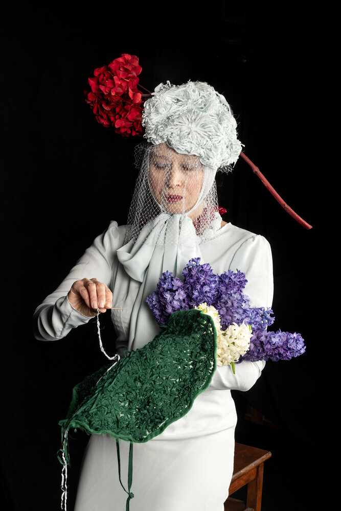 Lady Ortensia