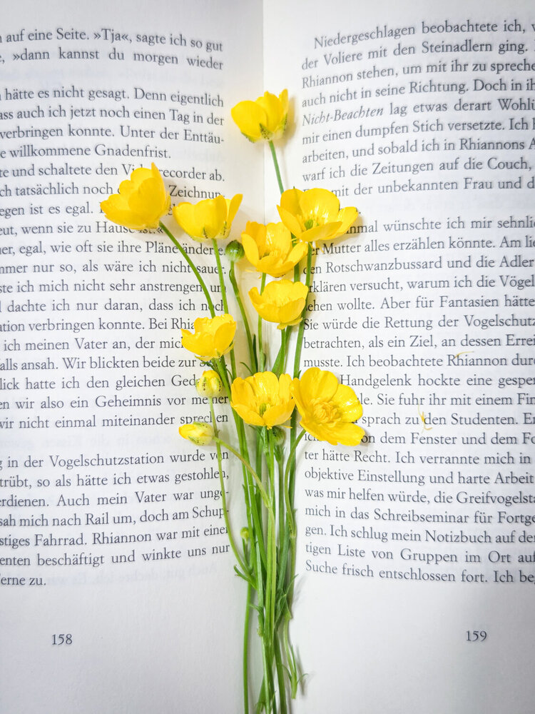 Photograph by Елена Кичигина