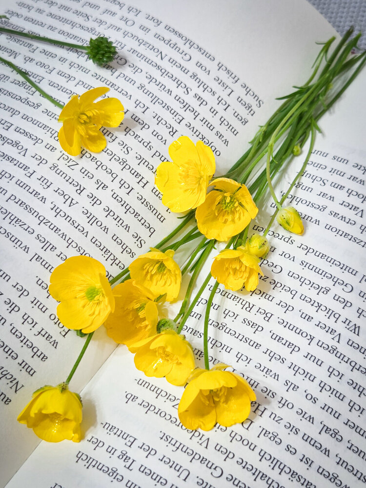 Photograph by Елена Кичигина