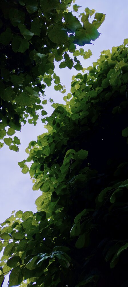 Photograph by Дарина Ворошилова