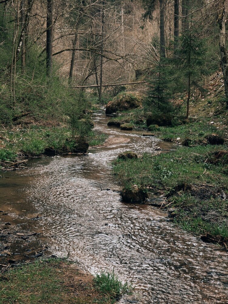 Photograph by Дарина Ворошилова