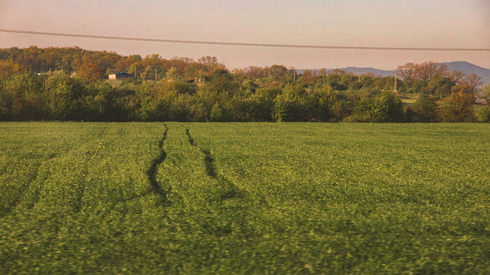 Photograph by Христина Сергейчик