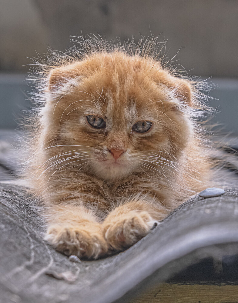 Photograph by ПУЗЕНКО ДМИТРИЙ