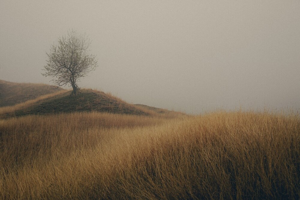 Фотография автора Олег Сухенко