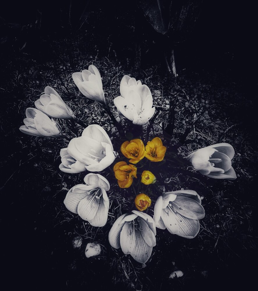 Photograph by Анатолий Вивдич