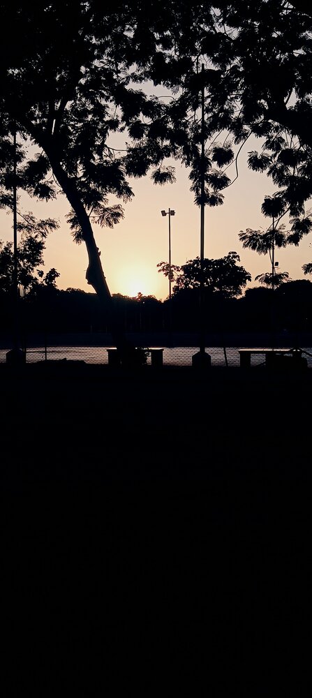Nature