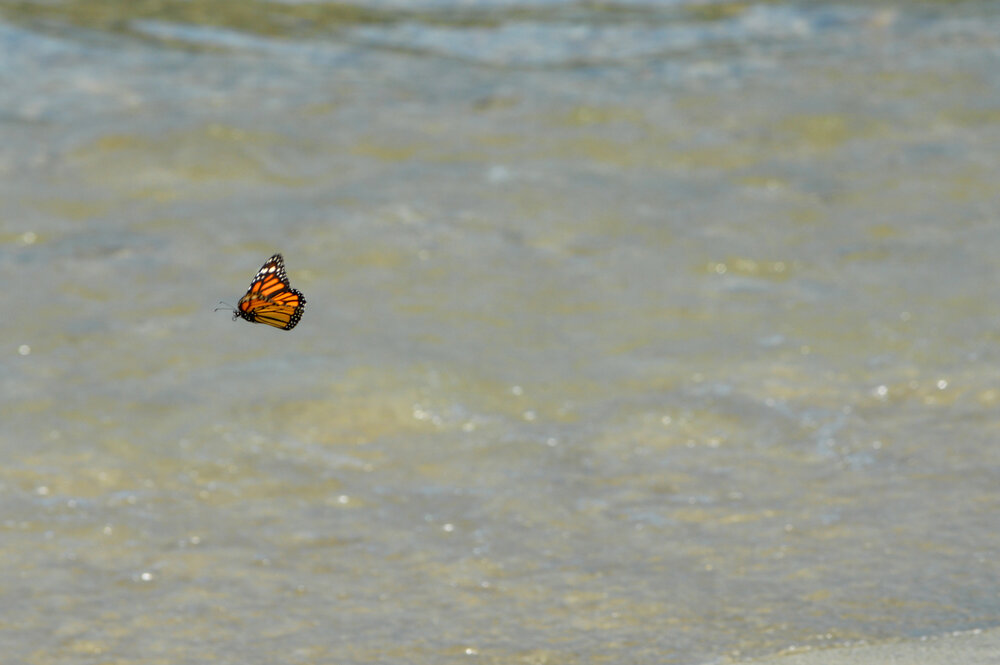 Photograph by Camilo Martinez
