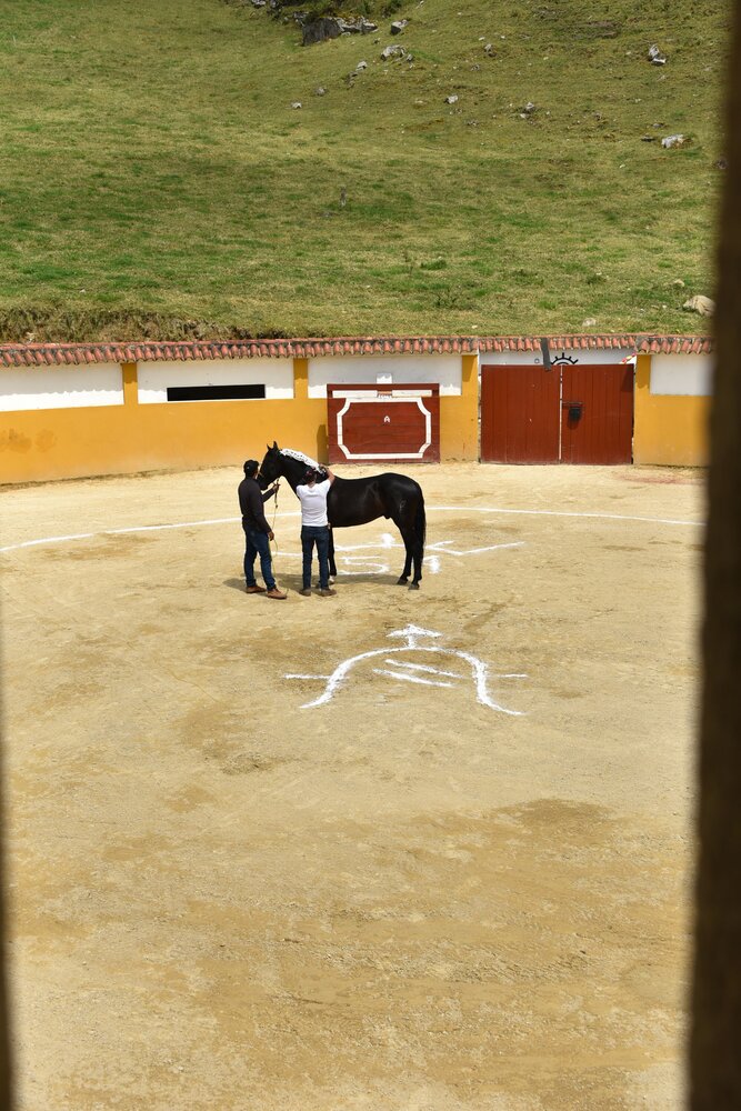 Photograph by Camilo Martinez