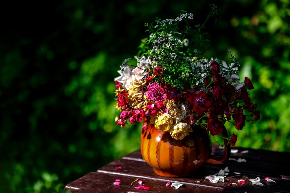 Photograph by марина леоненко