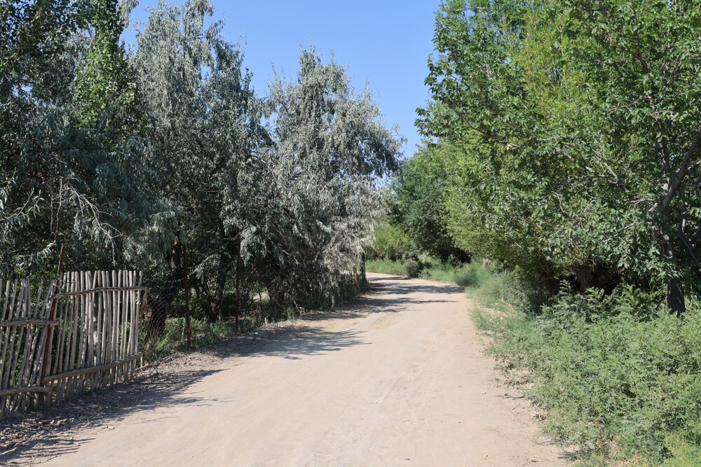 Photograph by Эдик Нуран