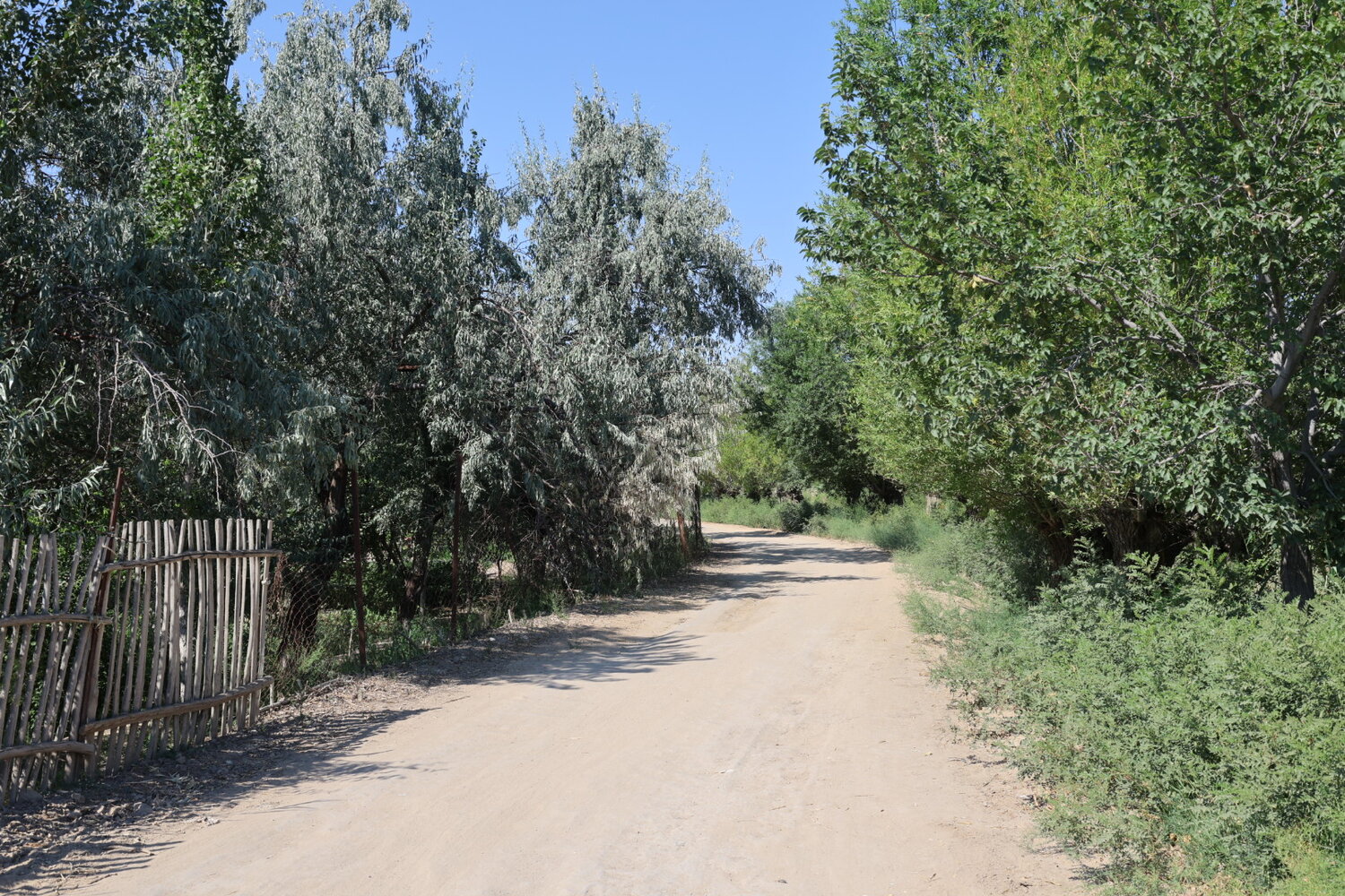 Photo #13802411