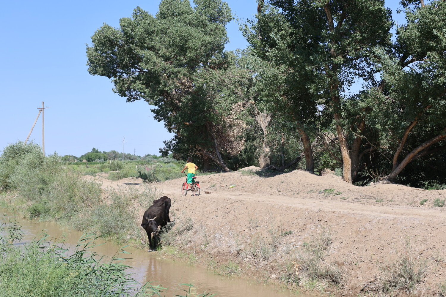 Photo #13802414