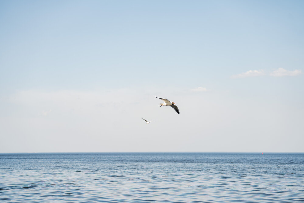 Photograph by Ирина Троицкая