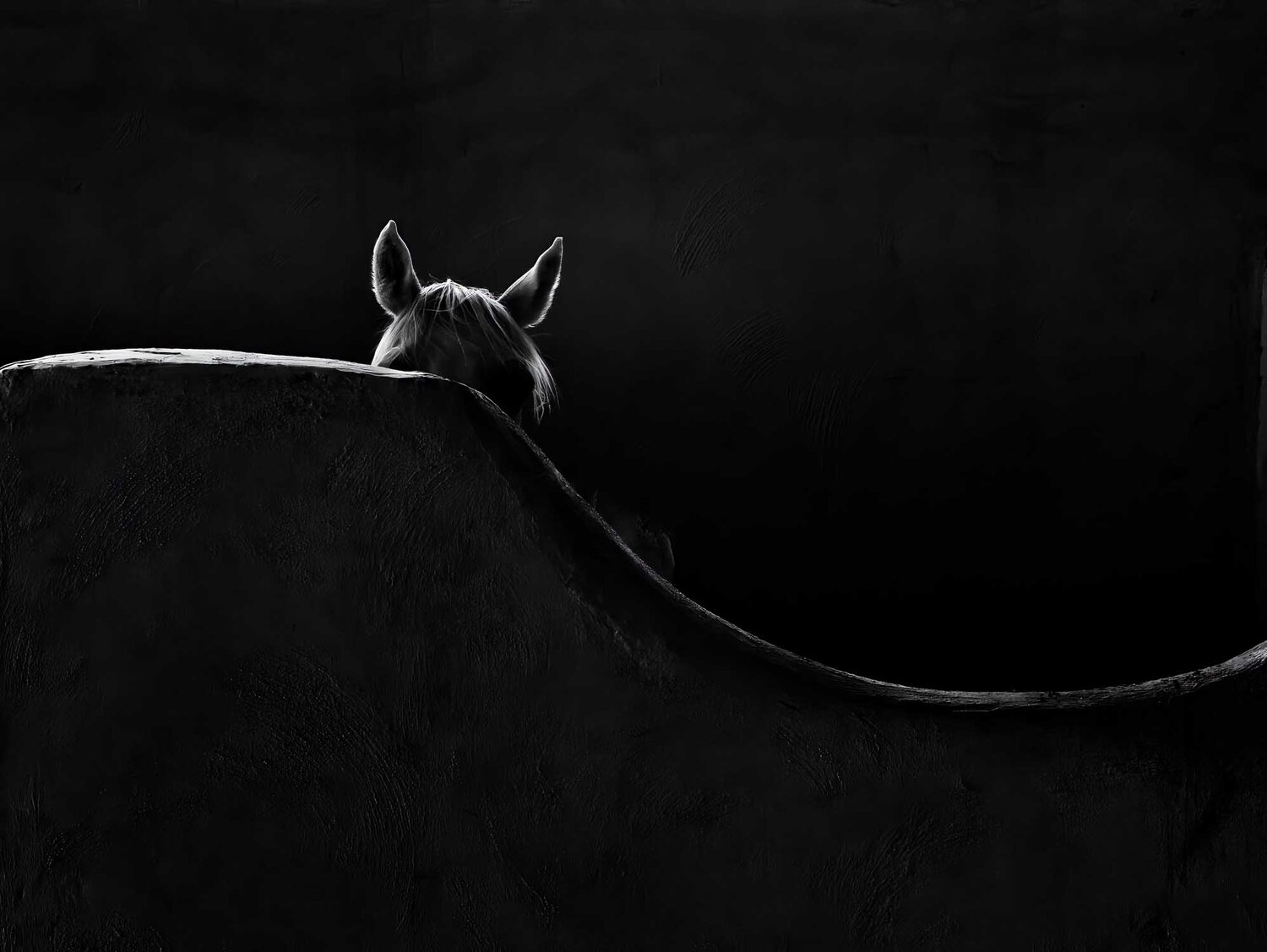 Hide and seek
