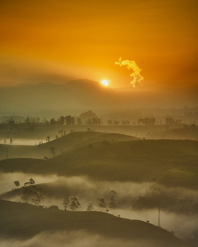 Photograph by rezar